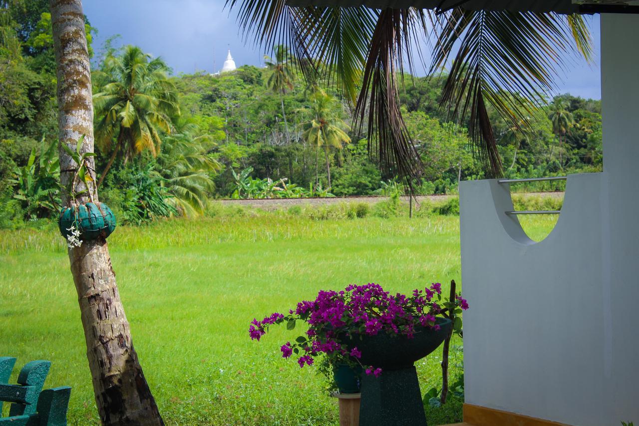 Paddy Field View Resort Mirissa Exterior foto
