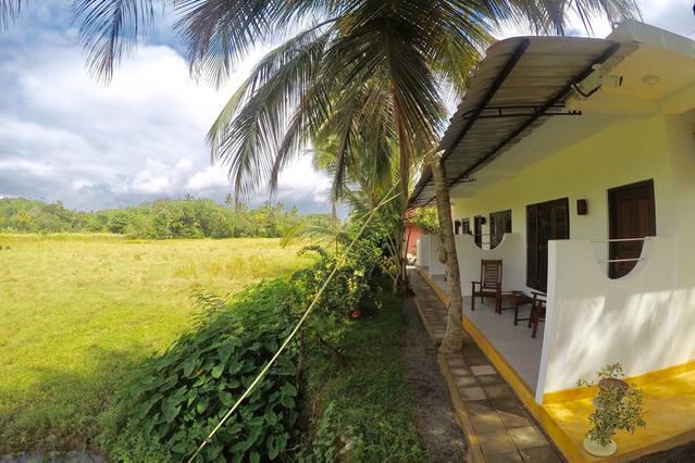 Paddy Field View Resort Mirissa Exterior foto